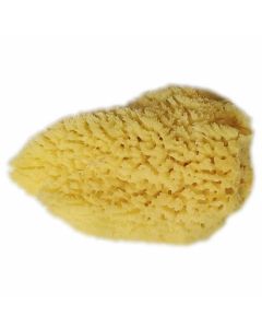 Joy Sea Sponge Baby σφουγγάρι Make Up Soft, 1τμχ