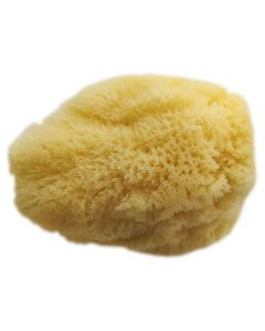Joy Sea Sponge Σφουγγάρι Φυσικό Μεσαίο, 1τμχ