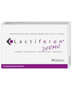 Lactiferon Derma Συμπλήρωμα Διατροφής για τη Θεραπεία της Ακμής, 30 γαστροανθεκτικά δισκία