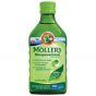 Moller's Cod Liver Oil Apple Flavour, 250ml