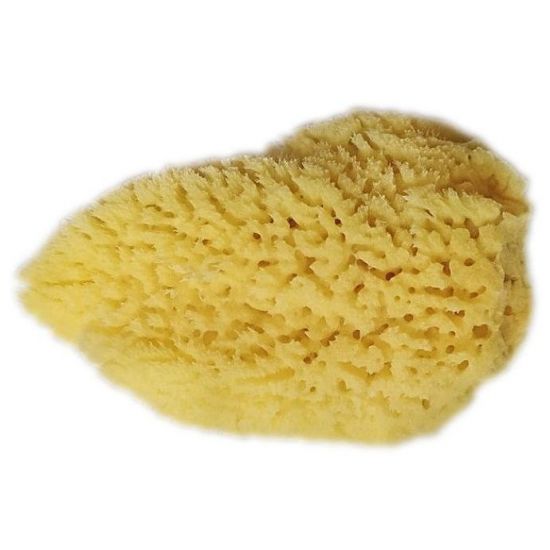 Joy Sea Sponge Φυσικο Σφουγγάρι Baby Soft, 1τμχ
