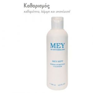 Meysept Dermo-Purifying Cleanser Αντισηπτικό Υγρό Καθαρισμού, 200 ml