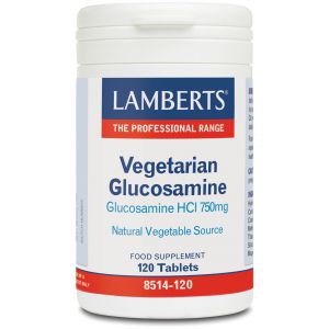 Lamberts Vegetarian Glucosamine, 120tabs